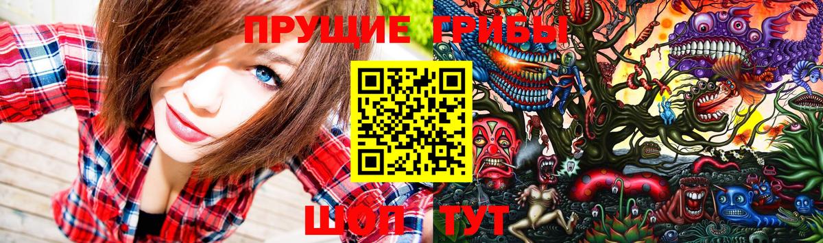 Псилоцибиновые грибы GOLDEN TEACHER  Галлюциногенные грибы Psilocybe  Вход с VPN  сколько стоит  Соль-Илецк 