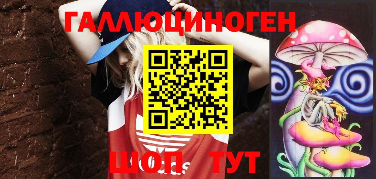 Галлюциногенные грибы Psilocybe Соль-Илецк